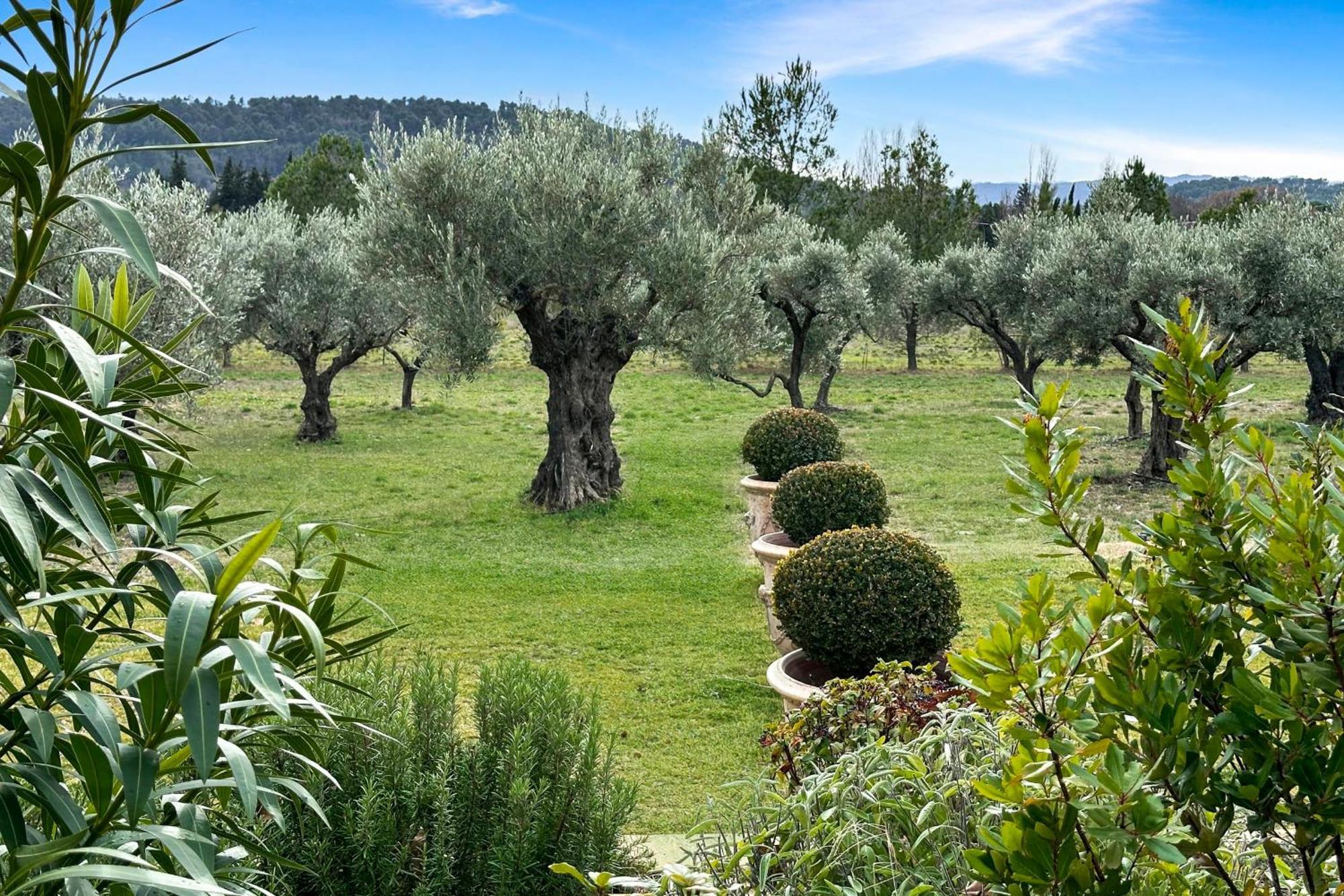 Appartement I Bastide La Graviere I Electio Lourmarin Zewnętrze zdjęcie